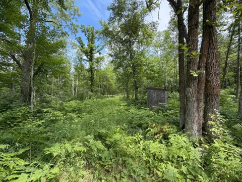 TBD County 95