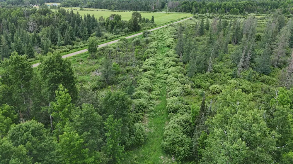 3xxx Quaal Road Forbes, MN 55738