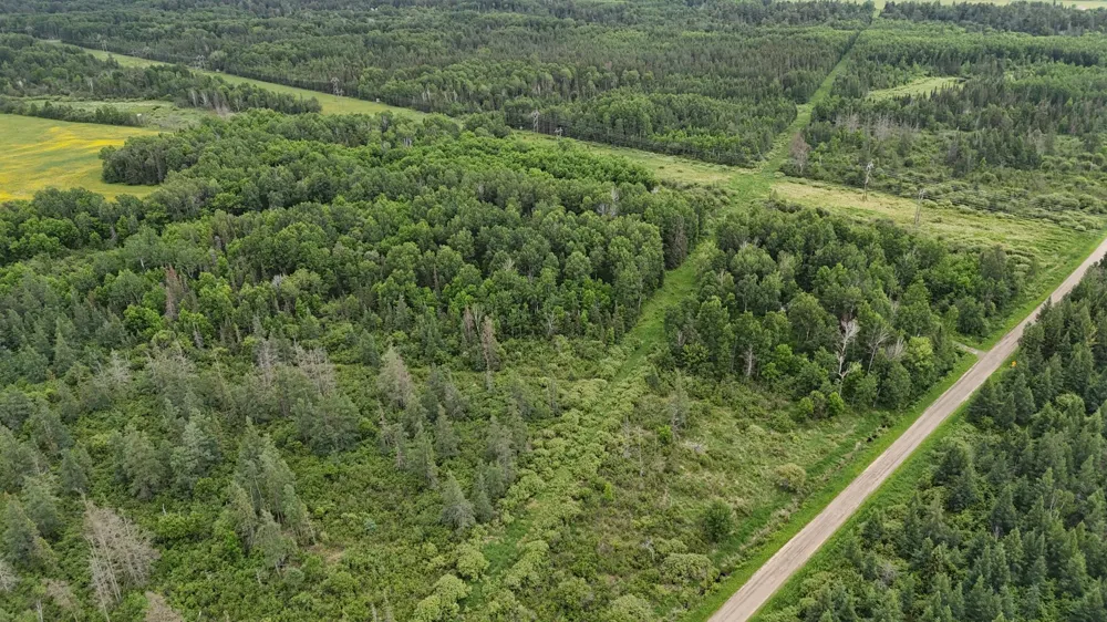 3xxx Quaal Road Forbes, MN 55738