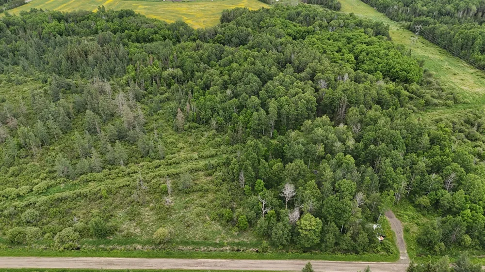 3xxx Quaal Road Forbes, MN 55738
