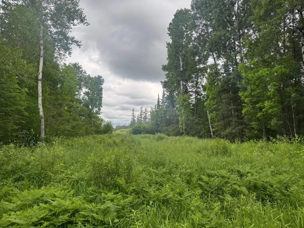 3xxx Quaal Road Forbes, MN 55738