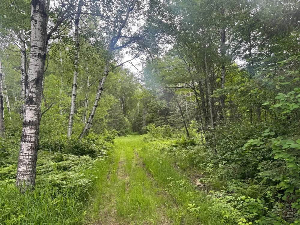 3xxx Quaal Road Forbes, MN 55738