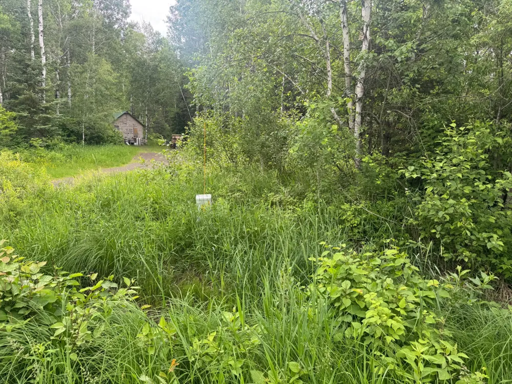 3xxx Quaal Road Forbes, MN 55738