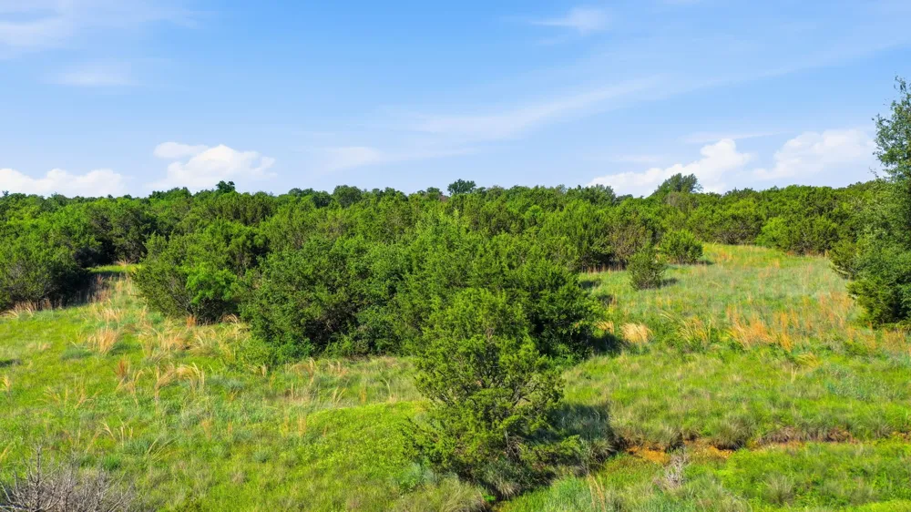 100 Gilmore Court Lipan, TX 76462
