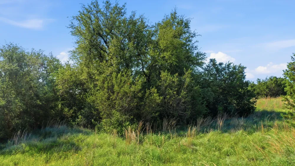 100 Gilmore Court Lipan, TX 76462