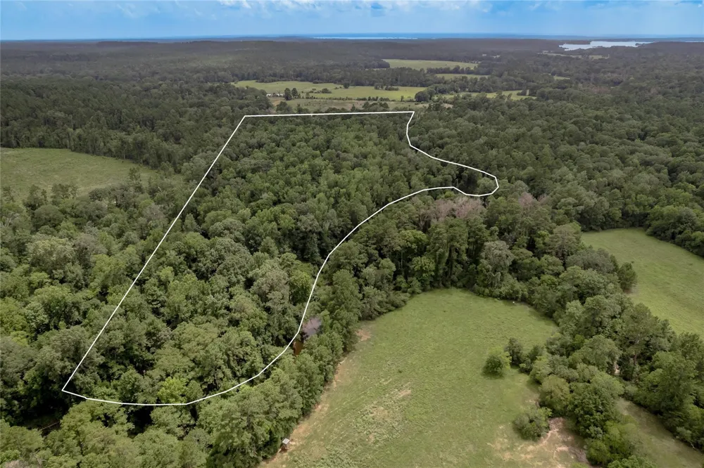438 Cody Road Groveton, TX 75845