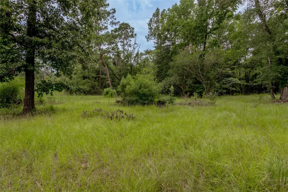 438 Cody Road Groveton, TX 75845