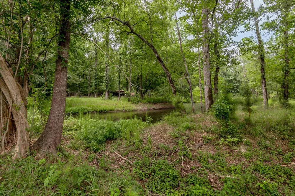 438 Cody Road Groveton, TX 75845