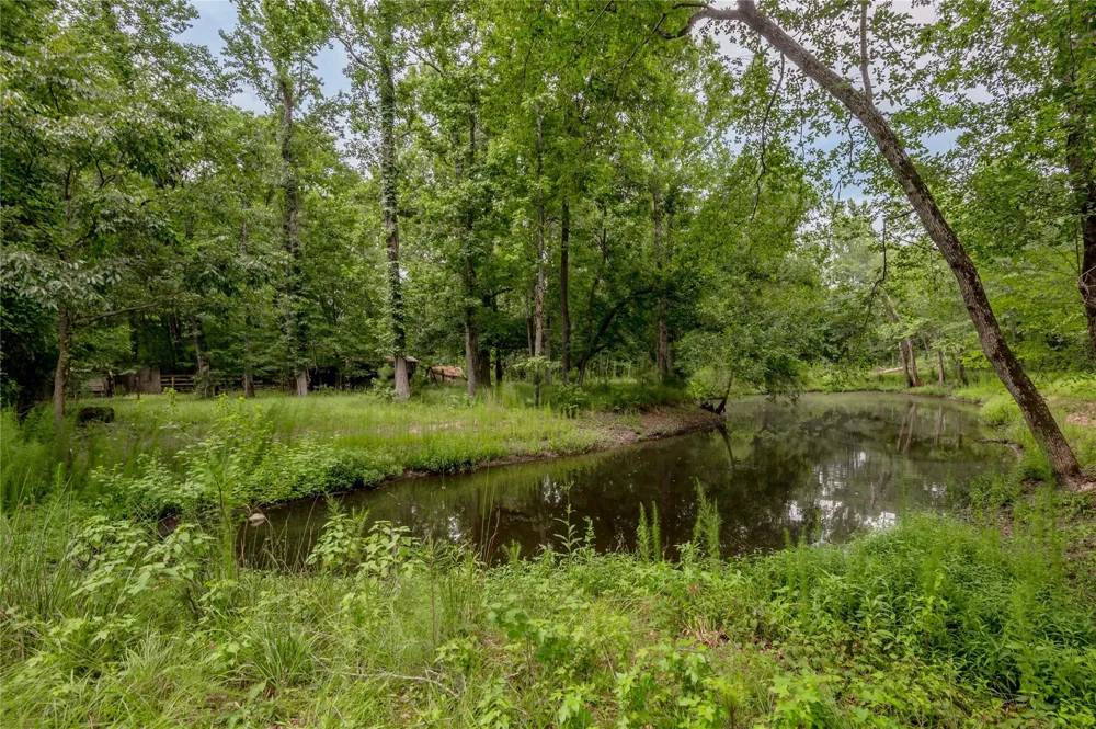 438 Cody Road Groveton, TX 75845