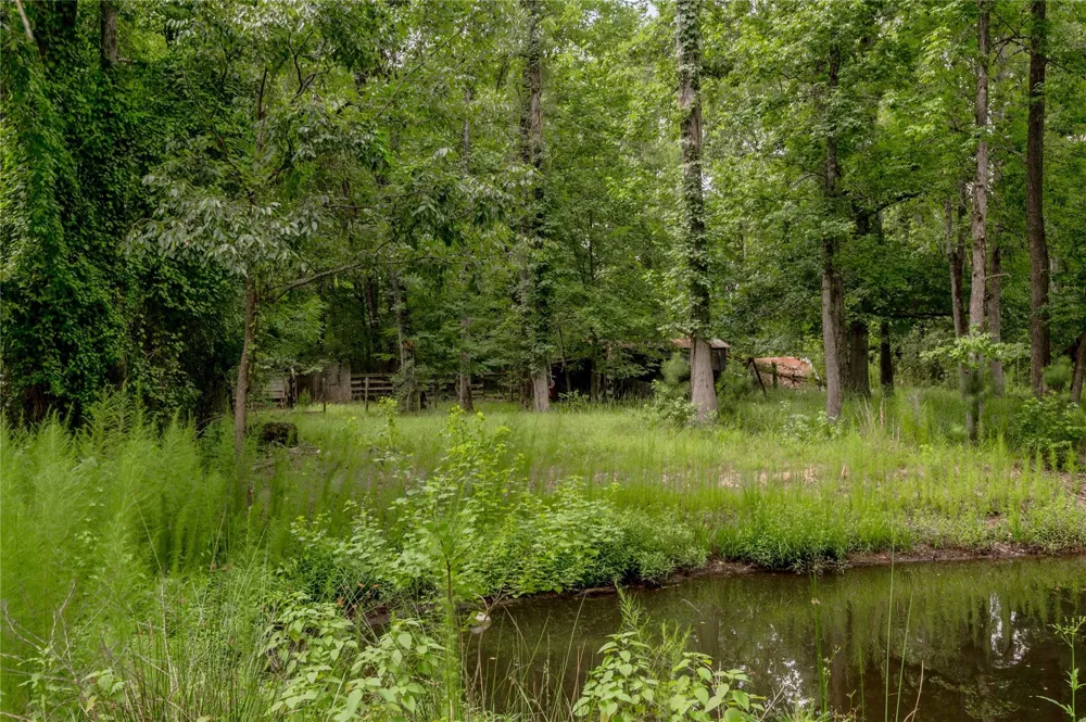 438 Cody Road Groveton, TX 75845