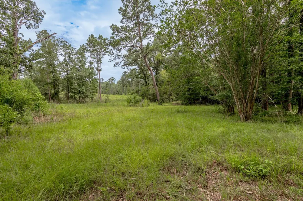 438 Cody Road Groveton, TX 75845