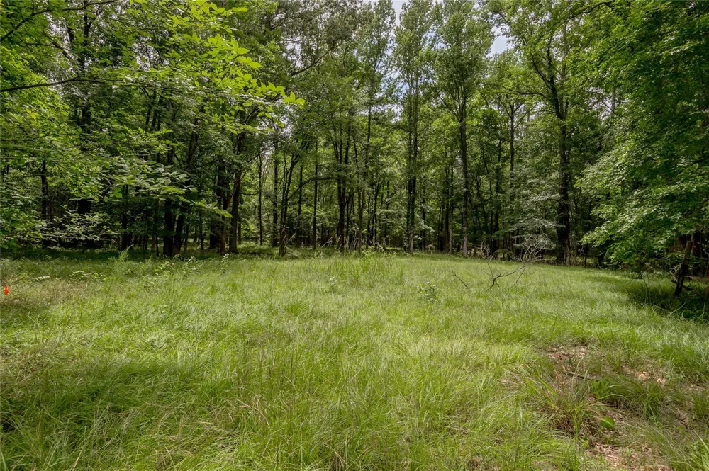 438 Cody Road Groveton, TX 75845