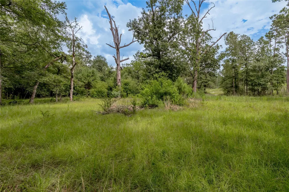 438 Cody Road Groveton, TX 75845
