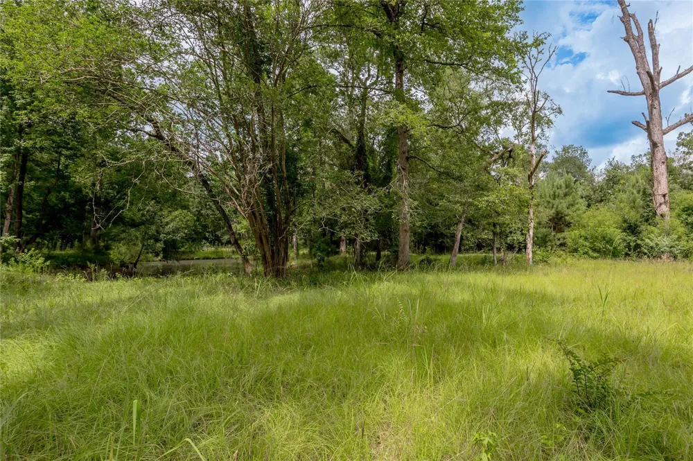 438 Cody Road Groveton, TX 75845