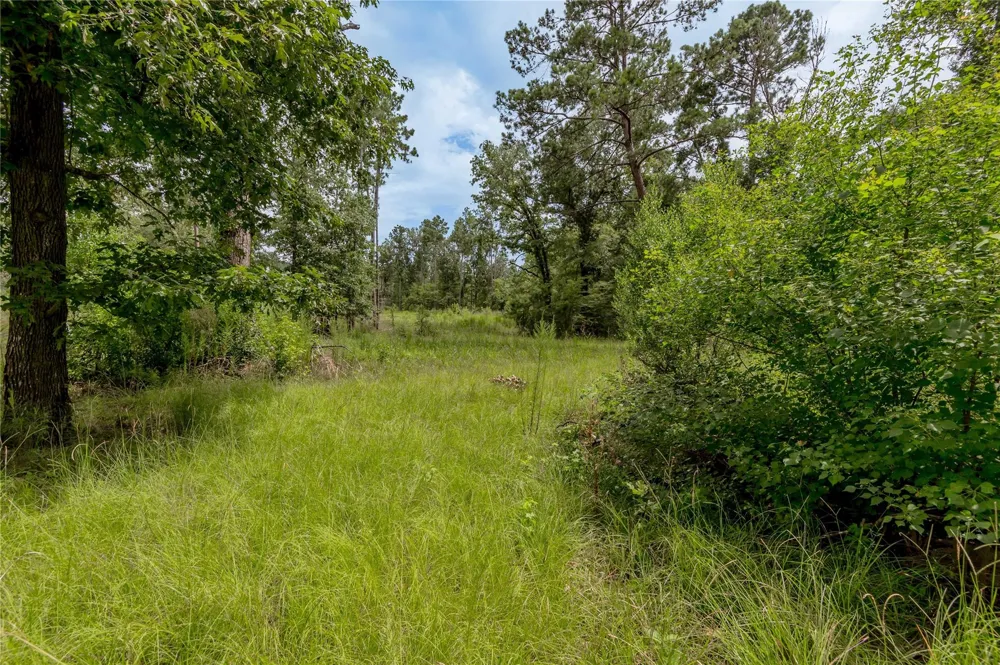 438 Cody Road Groveton, TX 75845