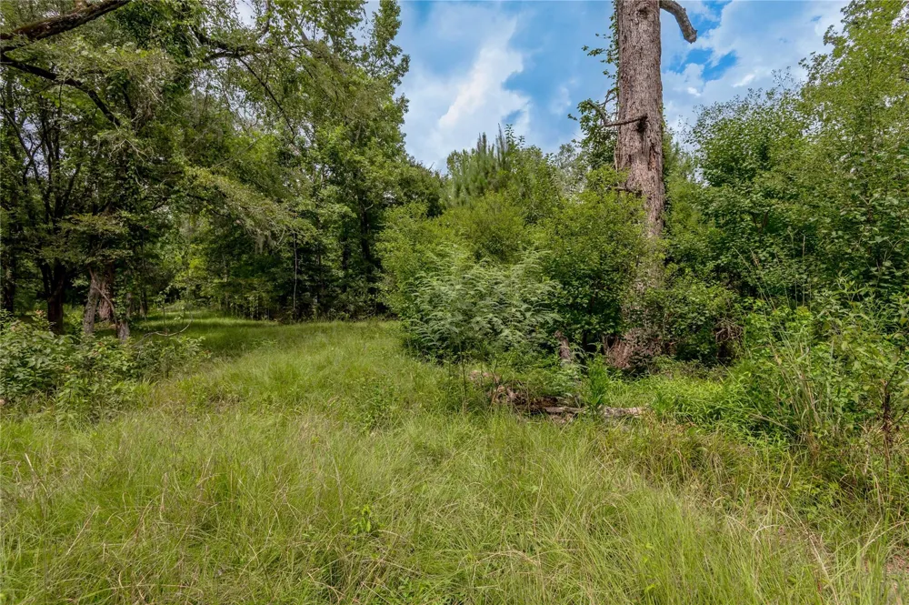 438 Cody Road Groveton, TX 75845