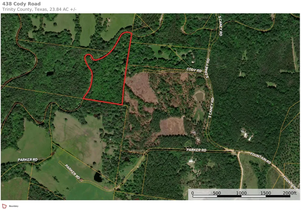 438 Cody Road Groveton, TX 75845