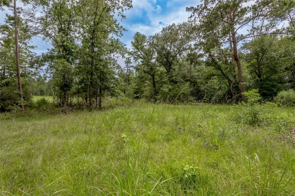 438 Cody Road Groveton, TX 75845