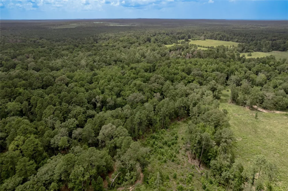 438 Cody Road Groveton, TX 75845