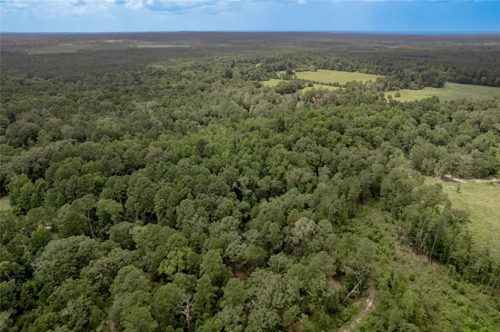 438 Cody Road Groveton, TX 75845