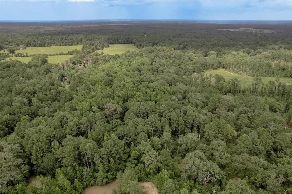 438 Cody Road Groveton, TX 75845