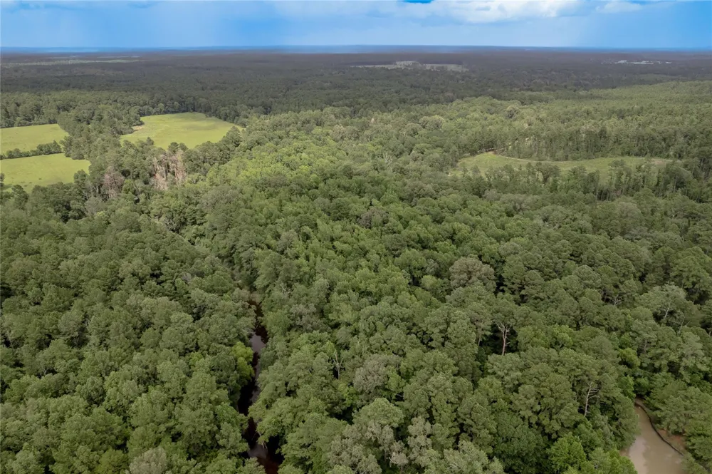 438 Cody Road Groveton, TX 75845