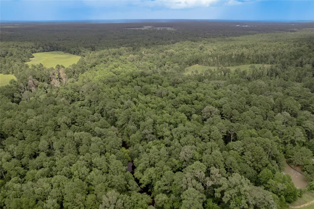 438 Cody Road Groveton, TX 75845