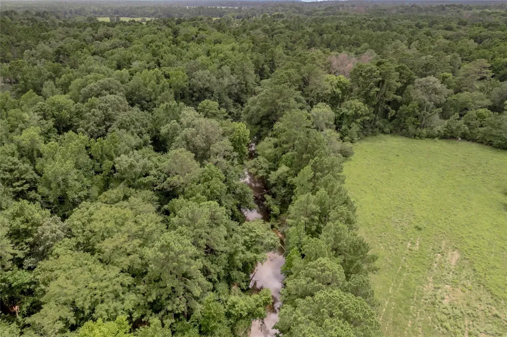 438 Cody Road Groveton, TX 75845