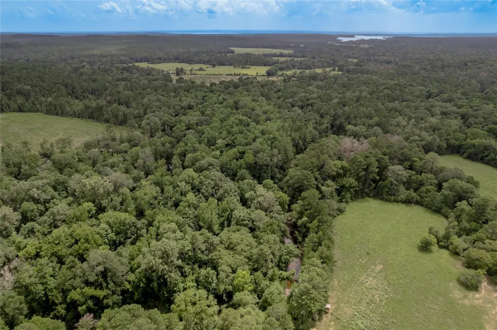 438 Cody Road Groveton, TX 75845