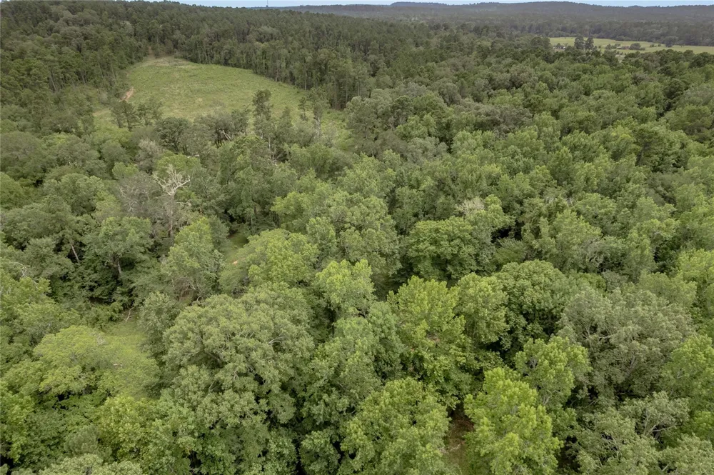 438 Cody Road Groveton, TX 75845