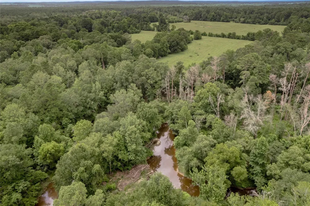 438 Cody Road Groveton, TX 75845