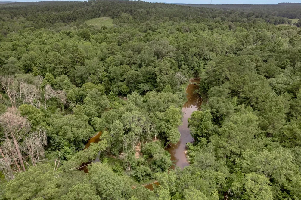 438 Cody Road Groveton, TX 75845