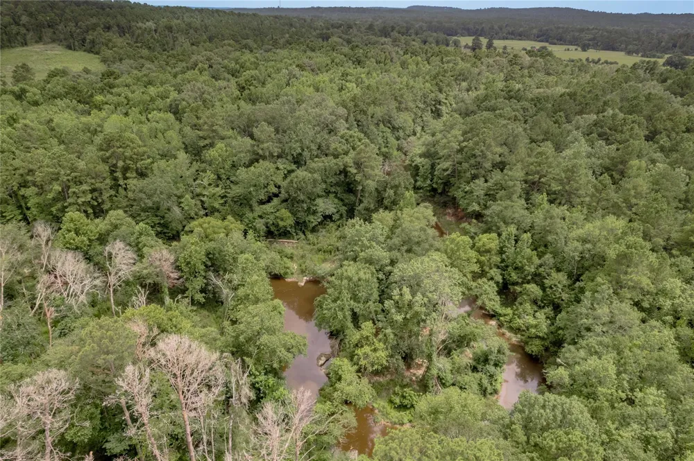 438 Cody Road Groveton, TX 75845