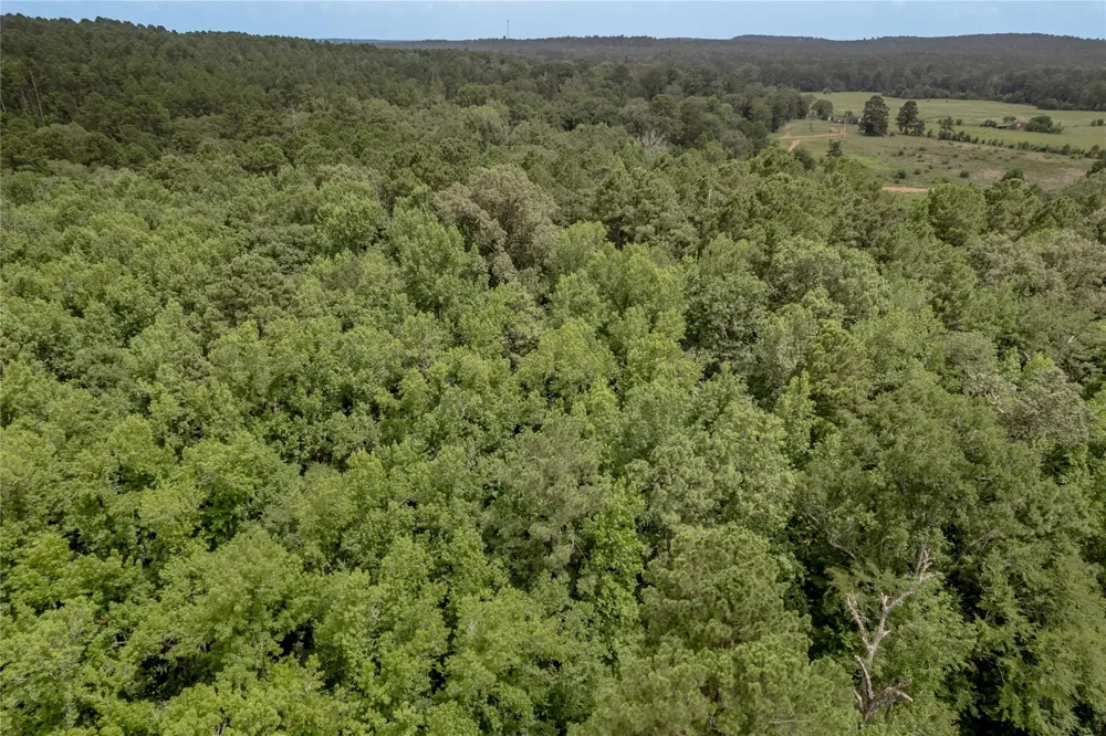 438 Cody Road Groveton, TX 75845