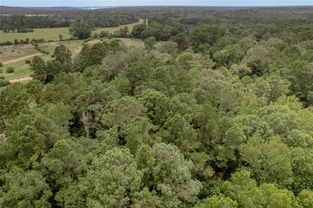 438 Cody Road Groveton, TX 75845