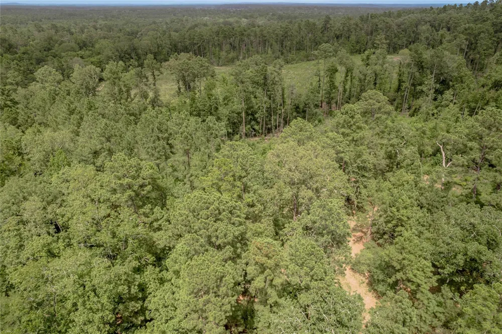 438 Cody Road Groveton, TX 75845