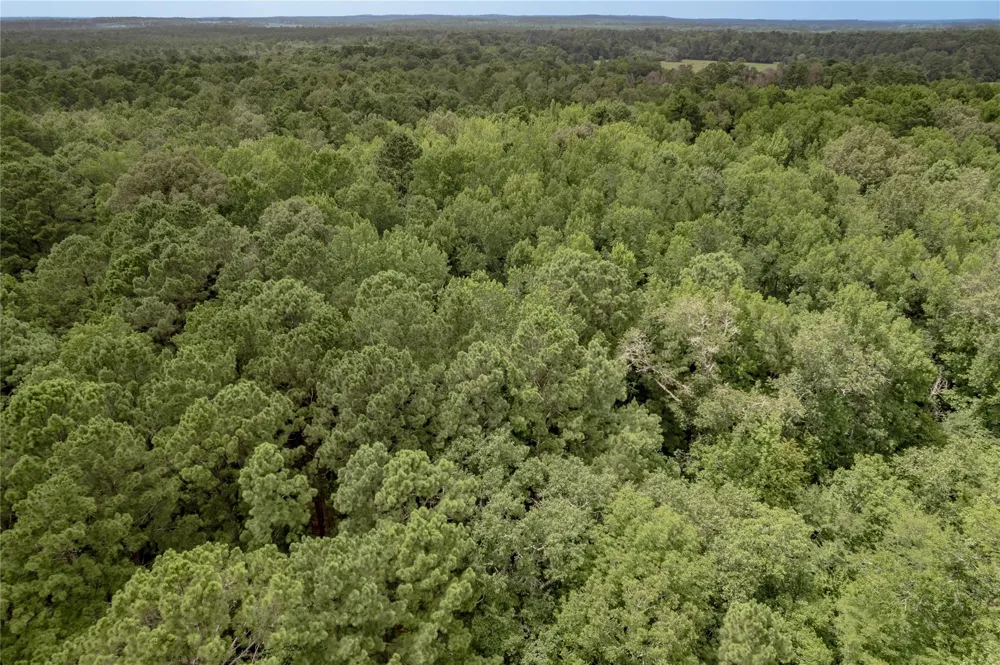 438 Cody Road Groveton, TX 75845