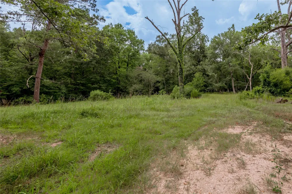 438 Cody Road Groveton, TX 75845