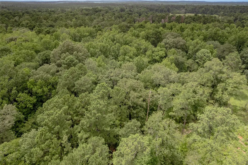 438 Cody Road Groveton, TX 75845