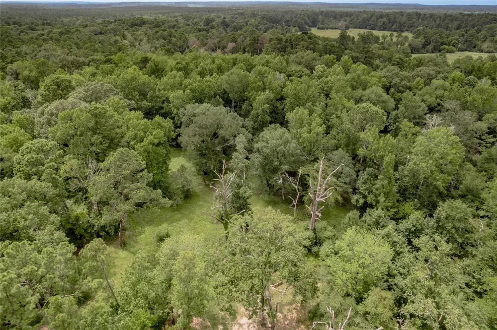438 Cody Road Groveton, TX 75845