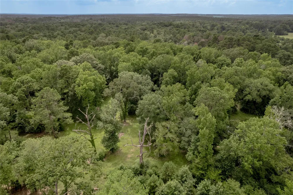 438 Cody Road Groveton, TX 75845