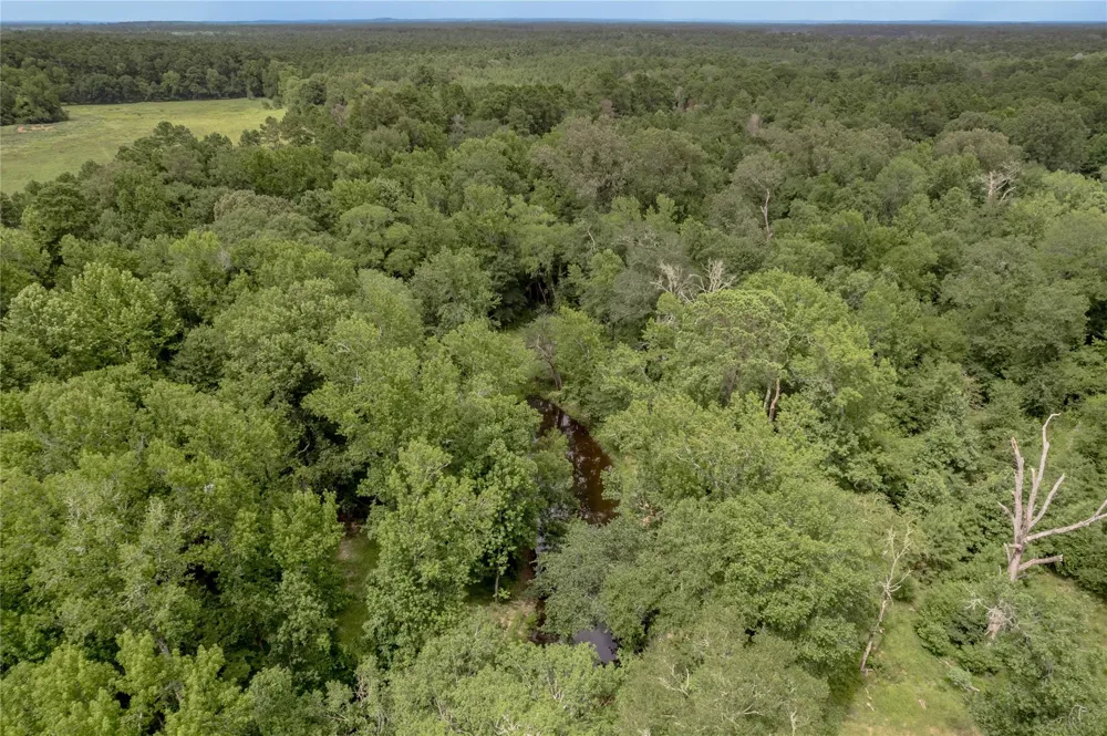 438 Cody Road Groveton, TX 75845