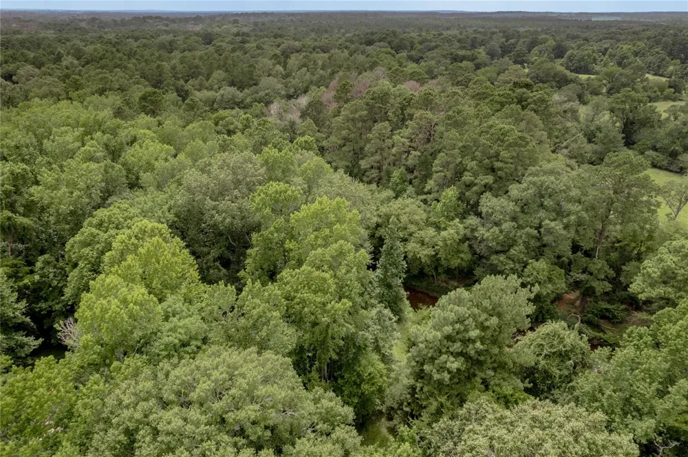 438 Cody Road Groveton, TX 75845