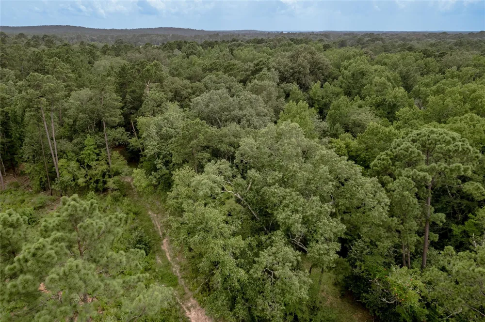438 Cody Road Groveton, TX 75845