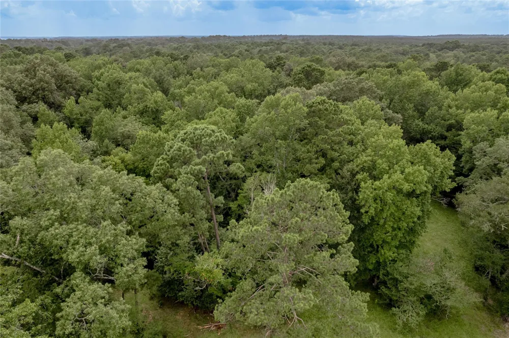438 Cody Road Groveton, TX 75845