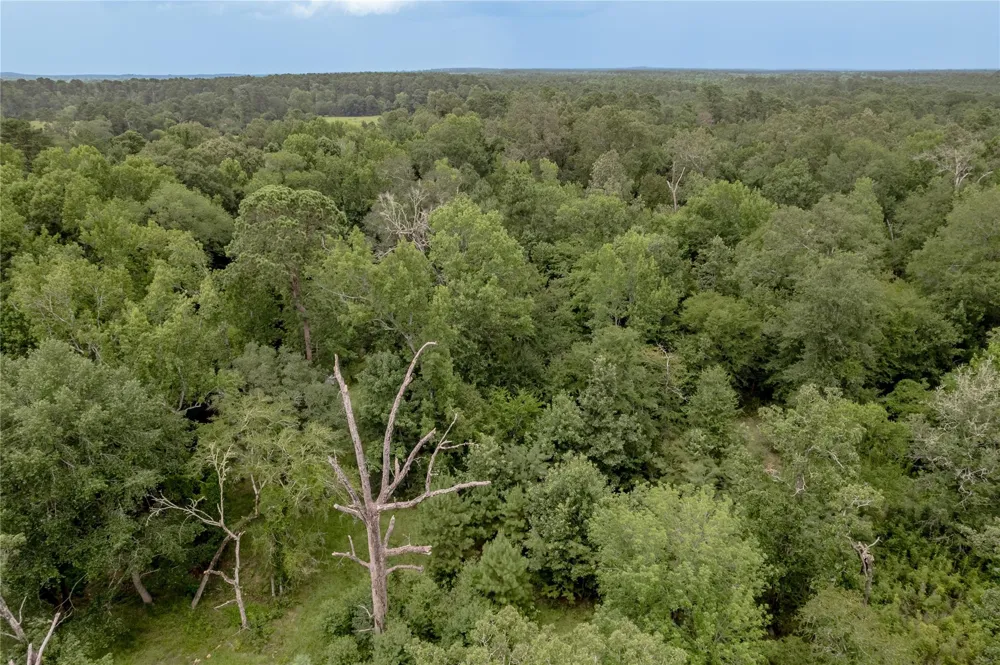 438 Cody Road Groveton, TX 75845