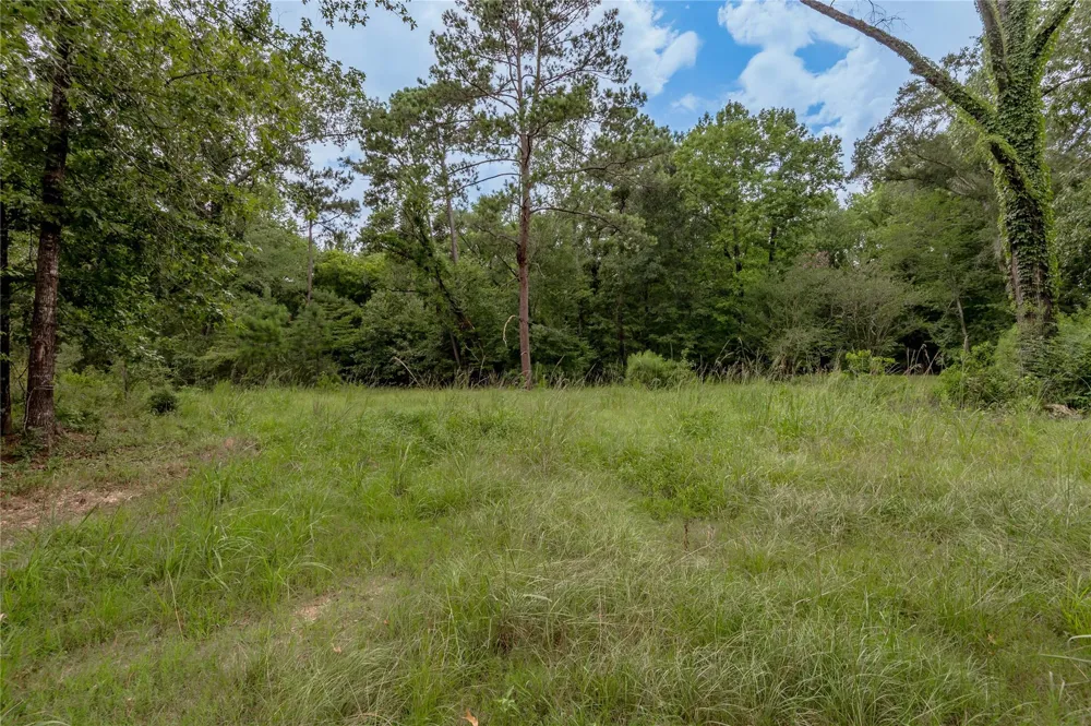 438 Cody Road Groveton, TX 75845