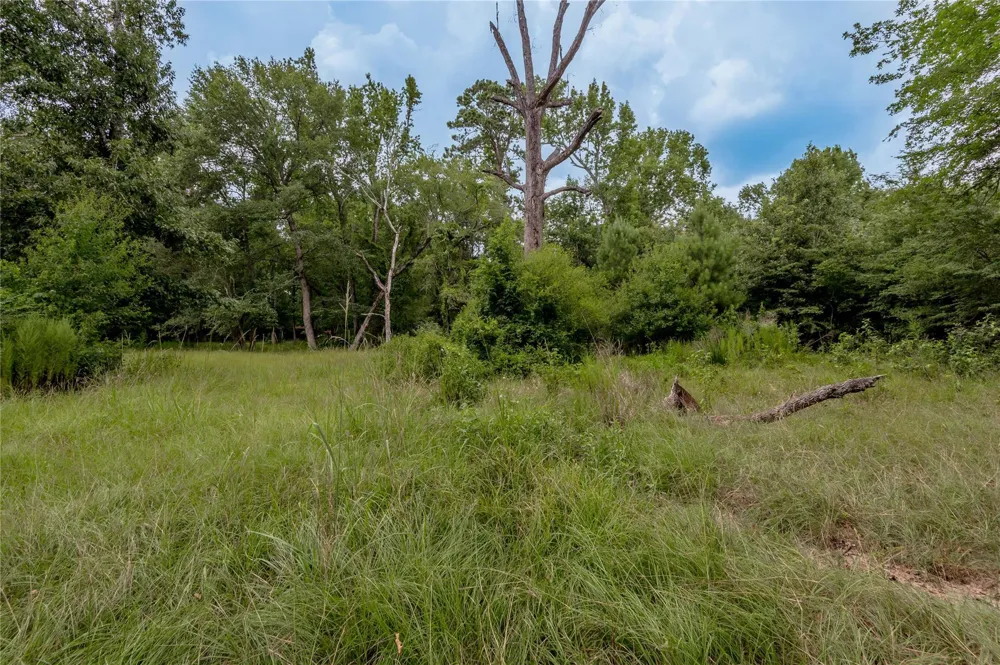 438 Cody Road Groveton, TX 75845