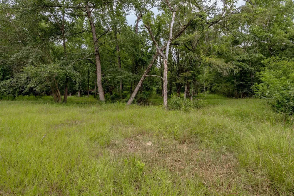 438 Cody Road Groveton, TX 75845