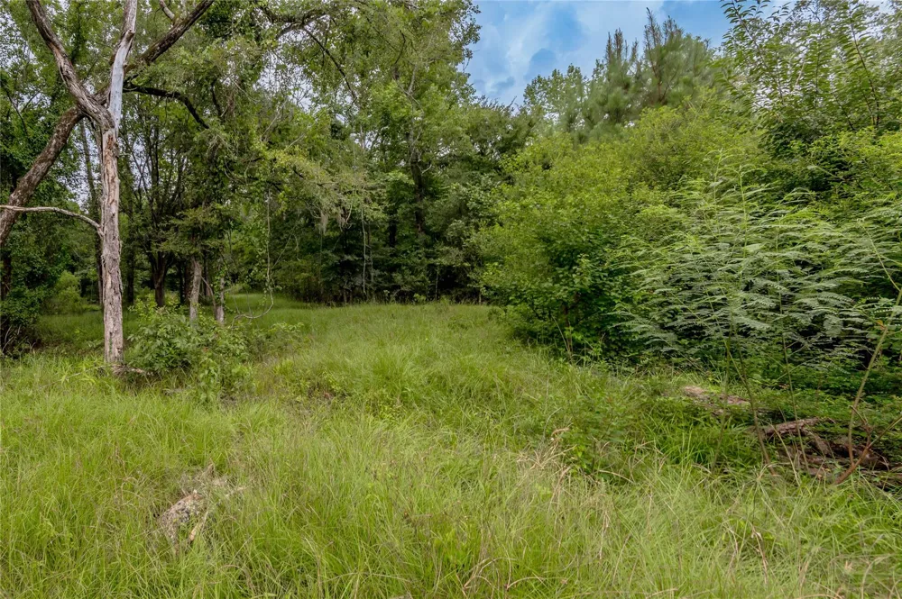 438 Cody Road Groveton, TX 75845